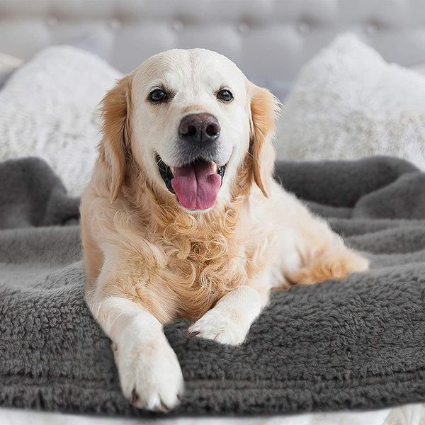 kennels & pens bed blanket cat soft plush dog for puppy small breeds blankets short fleece warm pet cushion washable 60x80cm
kennels & pens bed blanket cat soft plush dog for puppy small breeds blankets short fleece warm pet cushion washable 60x80cm