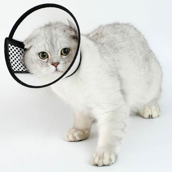 cat collars & leads elizabeth anti-bite pet dog collar puppy neck protective circle feeding cover accessories for small large dogs
cat collars & leads elizabeth anti-bite pet dog collar puppy neck protective circle feeding cover accessories for small large dogs