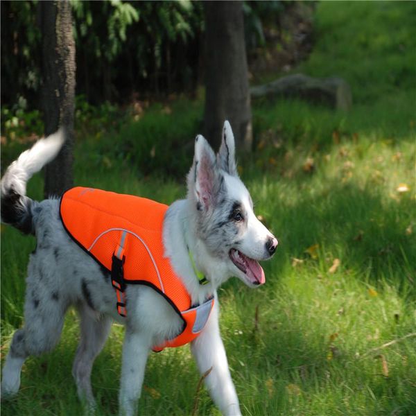 dog apparel summer outdoor big vest pet jacket sports breathing mesh cool clothes for small & medium large cat(m/l/xl/xxl)
dog apparel summer outdoor big vest pet jacket sports breathing mesh cool clothes for small & medium large cat(m/l/xl/xxl)