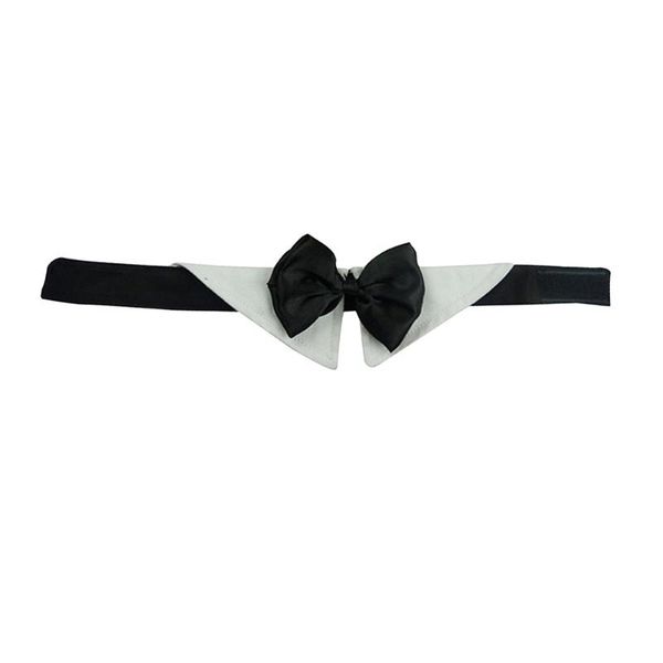 dog apparel cat wedding cute decoration clothes parties delicate portable collar bow tie hook and loop pet necktie soft
dog apparel cat wedding cute decoration clothes parties delicate portable collar bow tie hook and loop pet necktie soft