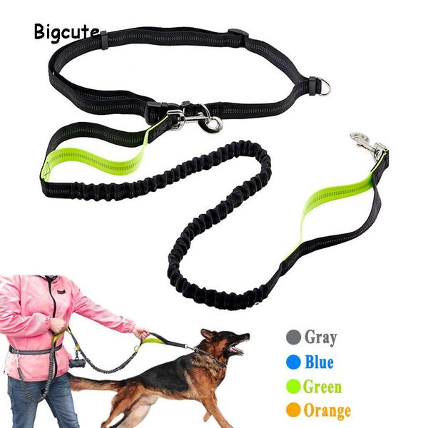 dog collars & leashes dogs leash running elasticity hand y pet products harness collar jogging training lead adjustable waist belt rope
dog collars & leashes dogs leash running elasticity hand y pet products harness collar jogging training lead adjustable waist belt rope