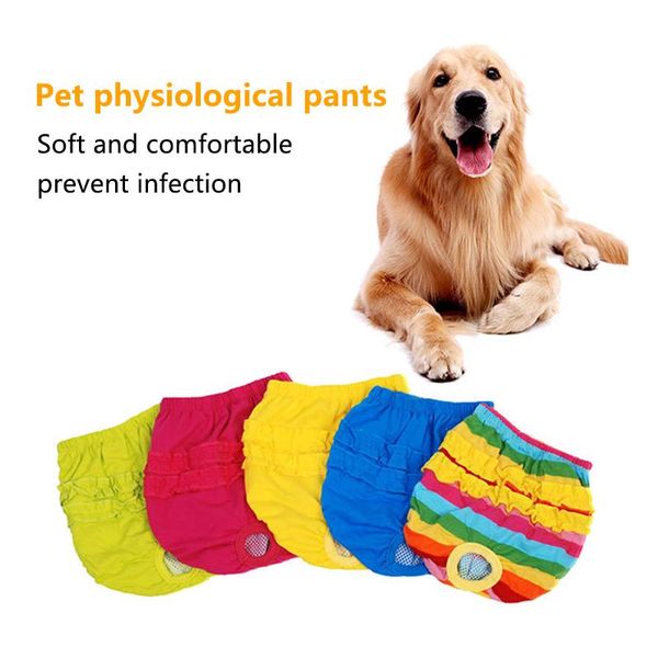 dog apparel pet physiological pants female panties shorts underwear briefs for dogs sanitary trousers
dog apparel pet physiological pants female panties shorts underwear briefs for dogs sanitary trousers