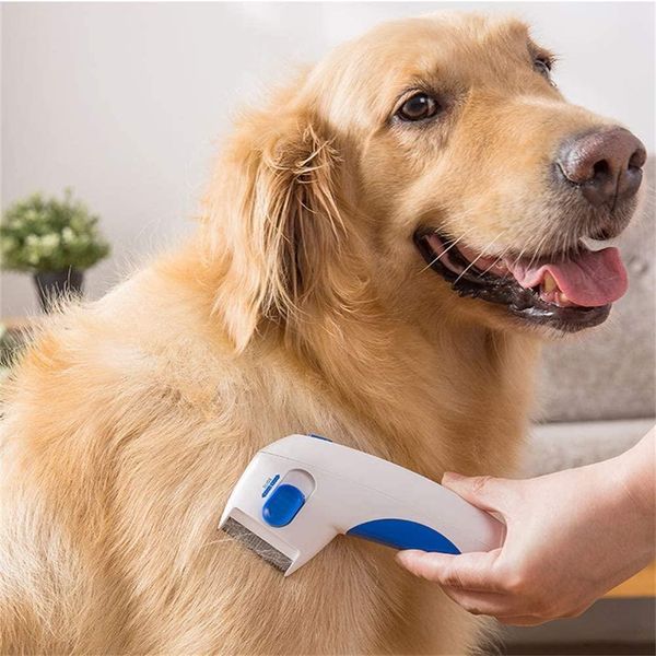 electric pet flea lice cleaner comb electric dog flea cleaning brush anti flea dog comb electronic lice comb for cats dogs pet supplies ld62
electric pet flea lice cleaner comb electric dog flea cleaning brush anti flea dog comb electronic lice comb for cats dogs pet supplies ld62