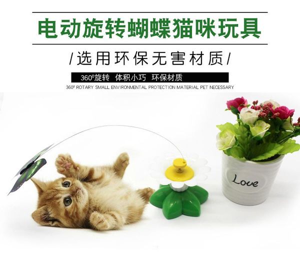 cat toys funny cats interactive small electric flying butterflies around the flowers pet supplies c31
cat toys funny cats interactive small electric flying butterflies around the flowers pet supplies c31