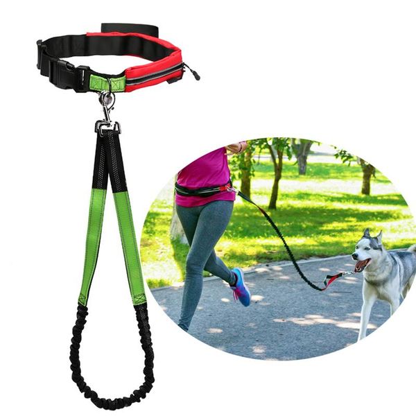 dog collars & leashes hands leash for running walking training hiking retractable bungee waist medium to large dogs
dog collars & leashes hands leash for running walking training hiking retractable bungee waist medium to large dogs