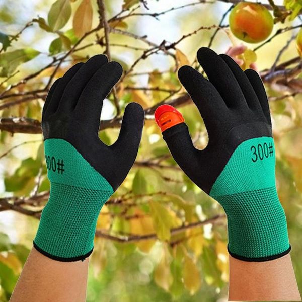 disposable gloves 1 pair fruit picker with 1pc thumb cutter breathable high elasticity for garden harvesting vegetables crop picking
disposable gloves 1 pair fruit picker with 1pc thumb cutter breathable high elasticity for garden harvesting vegetables crop picking