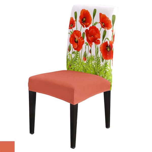 chair covers dining room cover red flower green leaves plant table chairs for kitchen tablecloth home decor
chair covers dining room cover red flower green leaves plant table chairs for kitchen tablecloth home decor