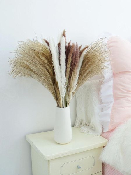 decorative flowers & wreaths 45 pcs natural dried reed flower plant pampas grass branches decor fluffy for living room bedroom wedding garde
decorative flowers & wreaths 45 pcs natural dried reed flower plant pampas grass branches decor fluffy for living room bedroom wedding garde