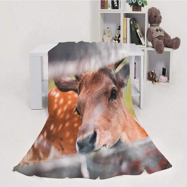 friendly deer looking through a fence,throw blanket soft fuzzy microfiber sofa couch blanket 40''x50''(wxl)
friendly deer looking through a fence,throw blanket soft fuzzy microfiber sofa couch blanket 40''x50''(wxl)