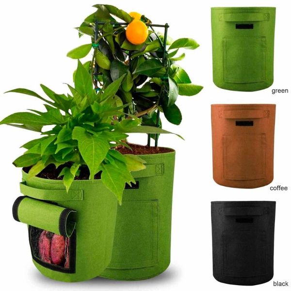 grow decoration bag garden tools flower pot double door environmental protection green black non-woven planting bucket planters & pots
grow decoration bag garden tools flower pot double door environmental protection green black non-woven planting bucket planters & pots