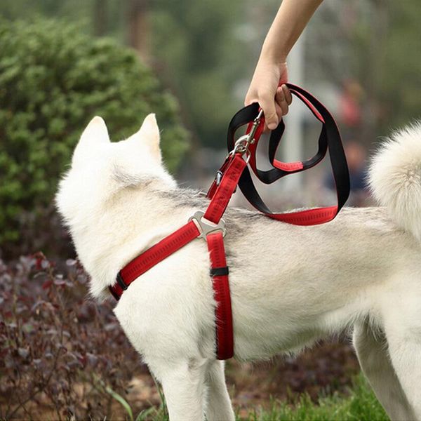dog collars & leashes nylon small collar plastic h-shaped medium harness and leash set for cats large dogs supplies
dog collars & leashes nylon small collar plastic h-shaped medium harness and leash set for cats large dogs supplies