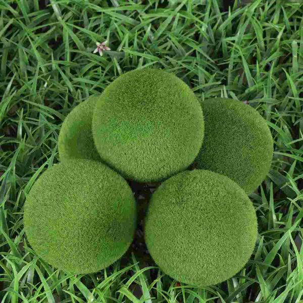 decorative flowers & wreaths 10pcs creative moss balls decor stylish potted plant accessories art flower arrangement ornament for home weddi
decorative flowers & wreaths 10pcs creative moss balls decor stylish potted plant accessories art flower arrangement ornament for home weddi