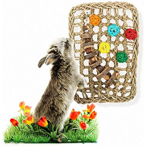 small animal supplies activity toys chew toy for teeth grinding play hand crafted seagrass protector mat chinchilla
small animal supplies activity toys chew toy for teeth grinding play hand crafted seagrass protector mat chinchilla