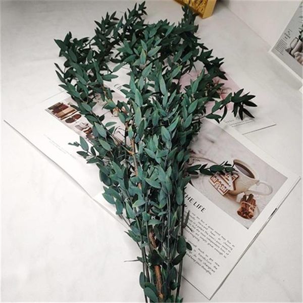 decorative flowers & wreaths home decoration naturally eucalyptus flower arrangements preserved leaves for centerpieces
decorative flowers & wreaths home decoration naturally eucalyptus flower arrangements preserved leaves for centerpieces