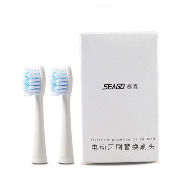 smart electric toothbrush seago head for sg-621 c5 c6 c8 906 915 612 623 628 677 711 ek6 ek7 replace heads
smart electric toothbrush seago head for sg-621 c5 c6 c8 906 915 612 623 628 677 711 ek6 ek7 replace heads