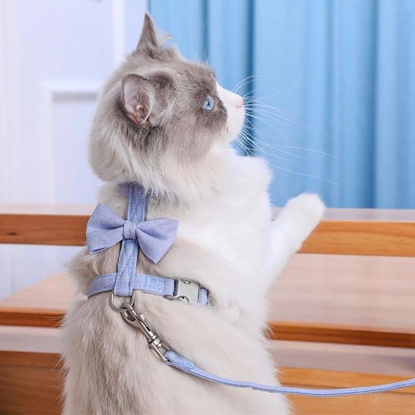 cat collars & leads adjustable cats harness and leash breakaway puppy cotton bowknot strap collar with for kitten small dogs pet walking
cat collars & leads adjustable cats harness and leash breakaway puppy cotton bowknot strap collar with for kitten small dogs pet walking