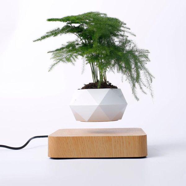 levitating air bonsai pot plant growing magnetic suspension decoration gift flower grow lights
levitating air bonsai pot plant growing magnetic suspension decoration gift flower grow lights