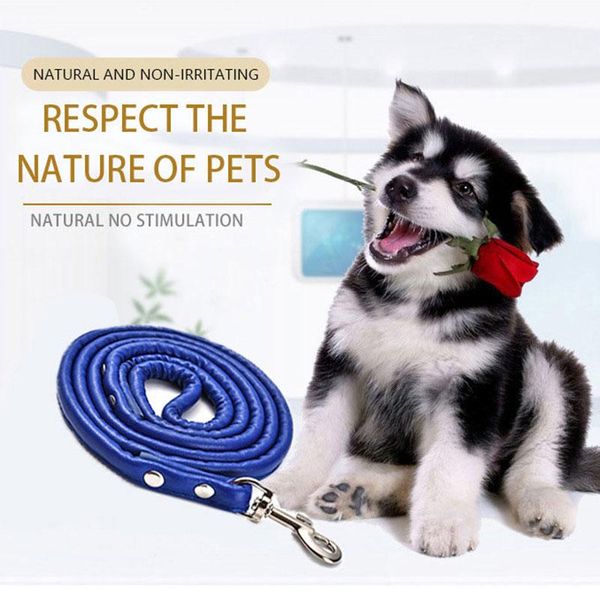 leather dog leash chain leads rope pet cat traction hook buckle for small animal collar harness running walk black red blue collars & leashe
leather dog leash chain leads rope pet cat traction hook buckle for small animal collar harness running walk black red blue collars & leashe
