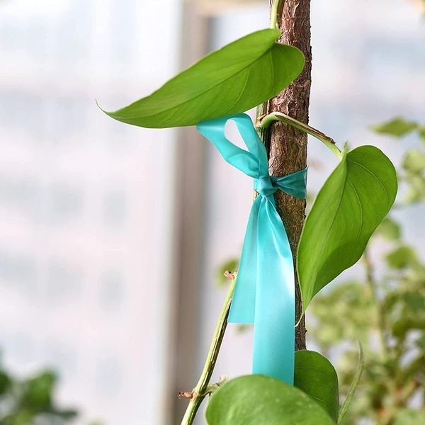 other garden supplies plant stretch tie tape multi-purpose reusable flower fixing band for courtyard greenhouse
other garden supplies plant stretch tie tape multi-purpose reusable flower fixing band for courtyard greenhouse