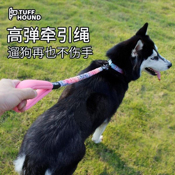dog collars & leashes pet cat collar harness and leash adjustable nylon traction kitten halter cats products for belt
dog collars & leashes pet cat collar harness and leash adjustable nylon traction kitten halter cats products for belt