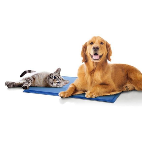kennels & pens pet dog self cooling mat pressure activated blue gel for beds car seats couches
kennels & pens pet dog self cooling mat pressure activated blue gel for beds car seats couches