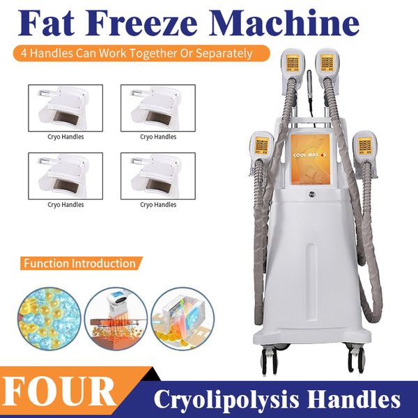 4 cryo handles fat e cryolipolysis machine weight reduce body shaping machine medical handle beauty equipment, Black
4 cryo handles fat e cryolipolysis machine weight reduce body shaping machine medical handle beauty equipment, Black
