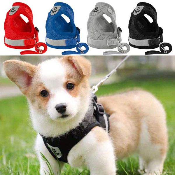dog collars & leashes safety pet harness and leash set small medium dogs nylon mesh puppy cat harnesses vest reflective walking lead sets
dog collars & leashes safety pet harness and leash set small medium dogs nylon mesh puppy cat harnesses vest reflective walking lead sets