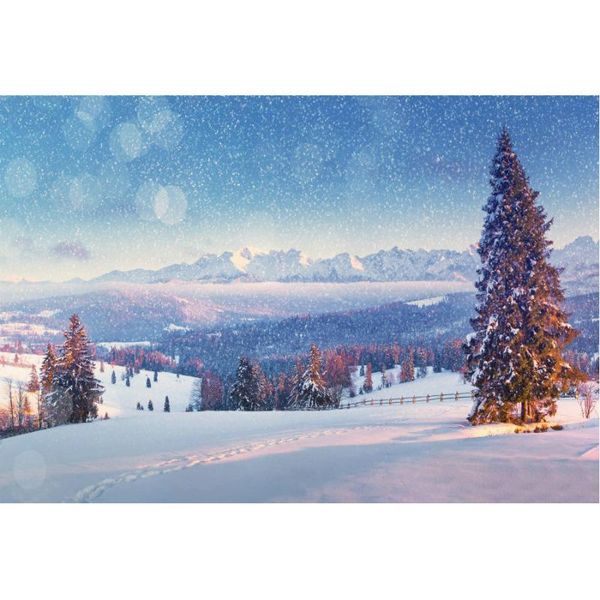 party decoration winter forest decor backdrop snowfield snow scene background borns pography xmas family po booth props
party decoration winter forest decor backdrop snowfield snow scene background borns pography xmas family po booth props