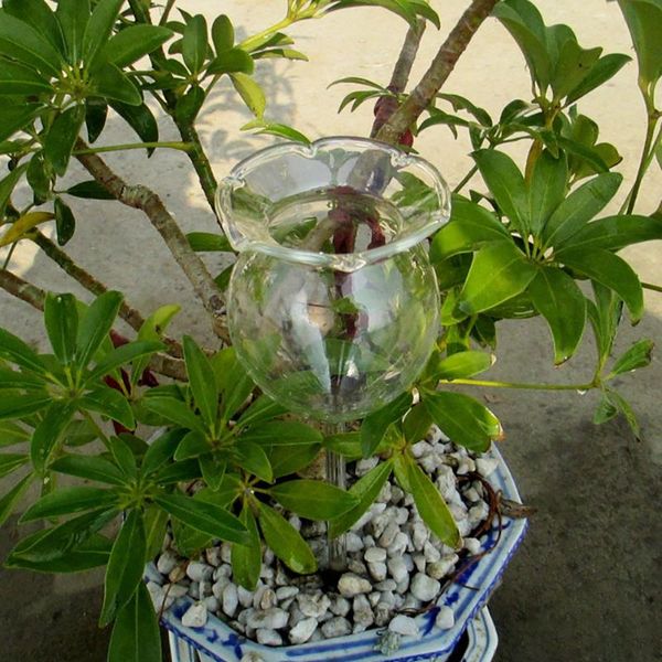 watering equipments indoor automatic flower glass garden plant device sprinkler water
watering equipments indoor automatic flower glass garden plant device sprinkler water