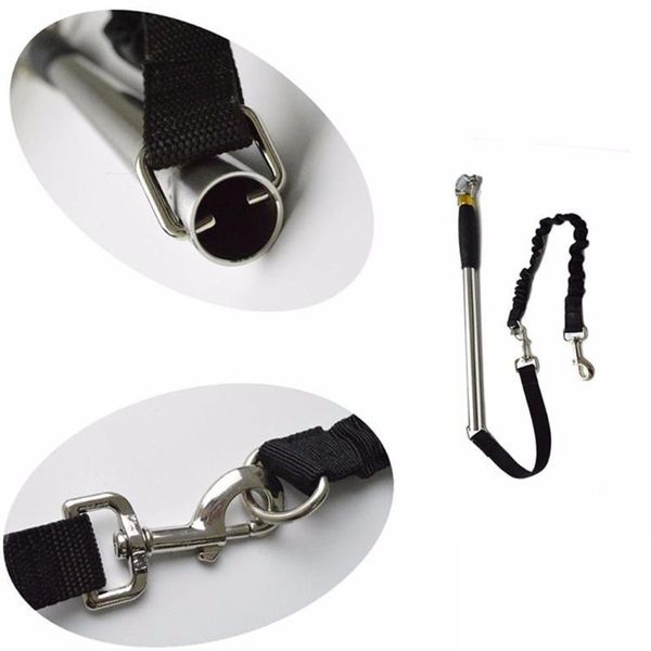 dog walkerwith spring leash bicycle walking pet seat belt supplies collars & leashes
dog walkerwith spring leash bicycle walking pet seat belt supplies collars & leashes