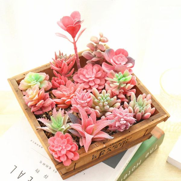 decorative flowers & wreaths artificial red flocking succulent plants diy home garden office wedding decoration mini bonsai plante artificie
decorative flowers & wreaths artificial red flocking succulent plants diy home garden office wedding decoration mini bonsai plante artificie