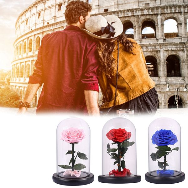 glass cover fresh preserved rose flower barbed rose flores for wedding marriage home party decoration valentines day gift blue
glass cover fresh preserved rose flower barbed rose flores for wedding marriage home party decoration valentines day gift blue