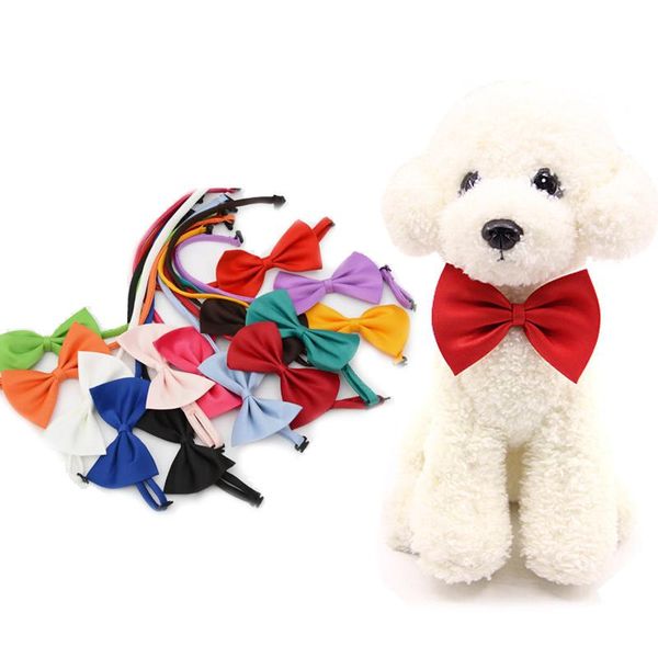 20/50/100pcs dog cat bow tie wholesale petshop accessories for small dogs kedi bows pet supplies mascotas accesorios para perros apparel
20/50/100pcs dog cat bow tie wholesale petshop accessories for small dogs kedi bows pet supplies mascotas accesorios para perros apparel