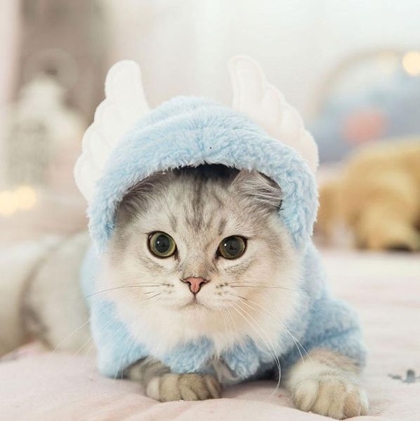 cat costumes lechong pet clothes ears warm coat kitty turned into funny cute kitten hoodie winter plus velvet jacket
cat costumes lechong pet clothes ears warm coat kitty turned into funny cute kitten hoodie winter plus velvet jacket