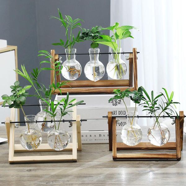 vases hydroponic plant vintage flower pot transparent vase wooden frame glass tableplants home bonsai decor
vases hydroponic plant vintage flower pot transparent vase wooden frame glass tableplants home bonsai decor