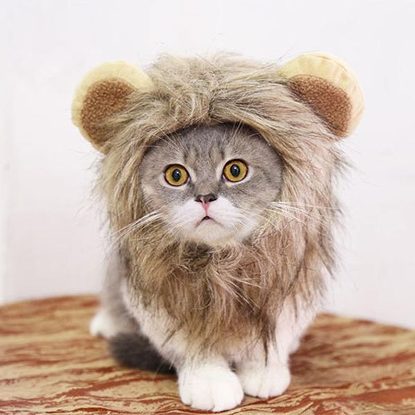 dog apparel funny cute pet costume cosplay lion cat cap hat adjustable cats halloween fancy dress with ears mane wig supplies
dog apparel funny cute pet costume cosplay lion cat cap hat adjustable cats halloween fancy dress with ears mane wig supplies