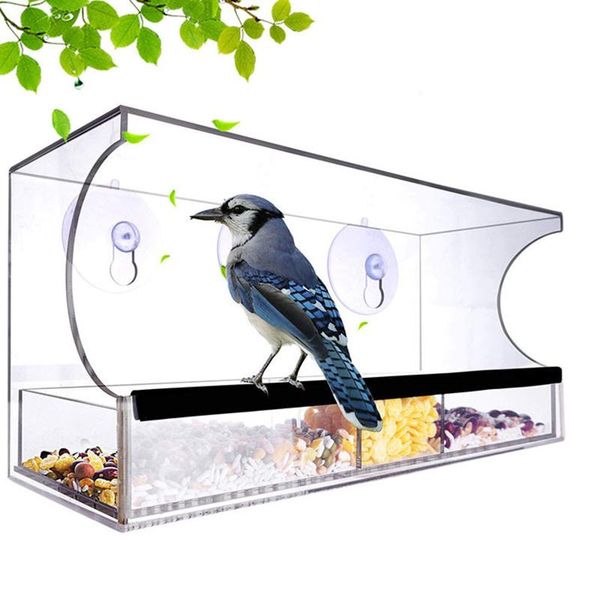 other bird supplies window feeder with strong suction cups outdoor feeders for birds
other bird supplies window feeder with strong suction cups outdoor feeders for birds