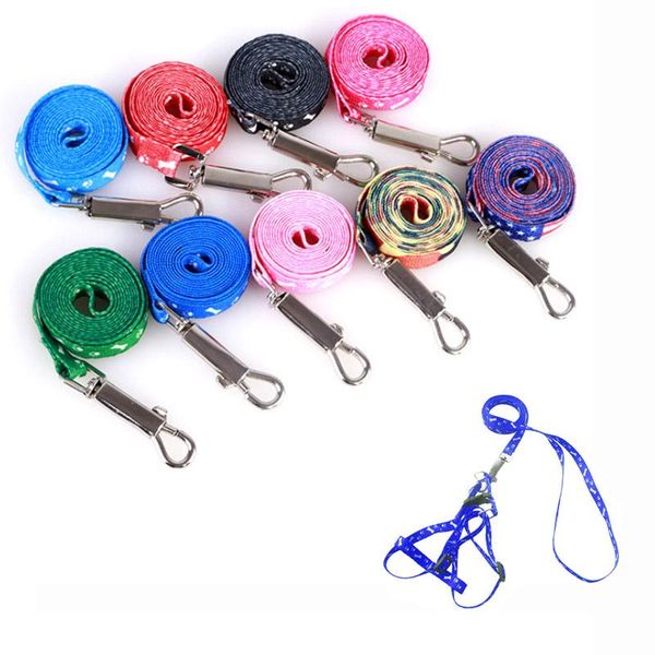 dog collars & leashes 10 colors nylon pet cat harness leash lead set for small medium dogs puppy chihuahua teddy poodle easy traction fixed
dog collars & leashes 10 colors nylon pet cat harness leash lead set for small medium dogs puppy chihuahua teddy poodle easy traction fixed