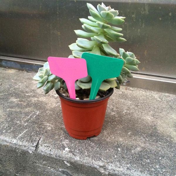 100pcs/set plastic gardening t-label multi-color inserting fruits and vegetables flowers seeding small signs plant tag flower garden decorat
100pcs/set plastic gardening t-label multi-color inserting fruits and vegetables flowers seeding small signs plant tag flower garden decorat