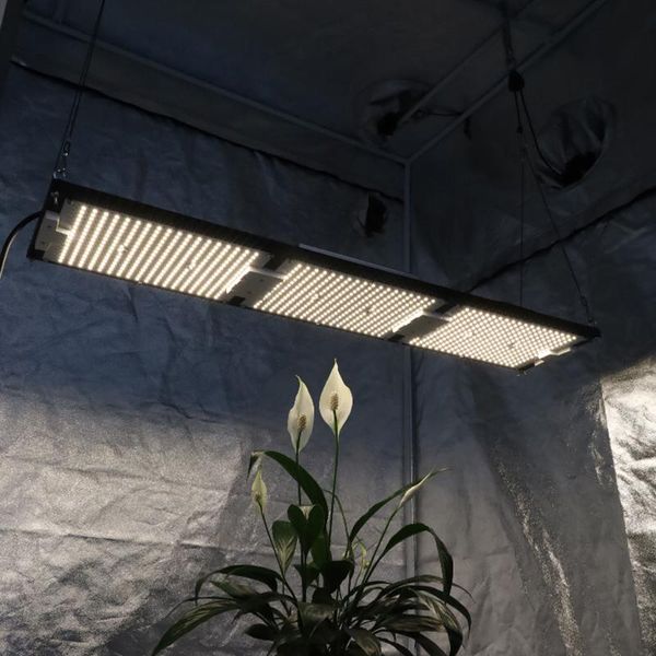 kingbrite 320w veg bloom switch samsung lm301h qb288 led board v4 3000k/3500k/4000k ip65 waterproof grow light lights
kingbrite 320w veg bloom switch samsung lm301h qb288 led board v4 3000k/3500k/4000k ip65 waterproof grow light lights