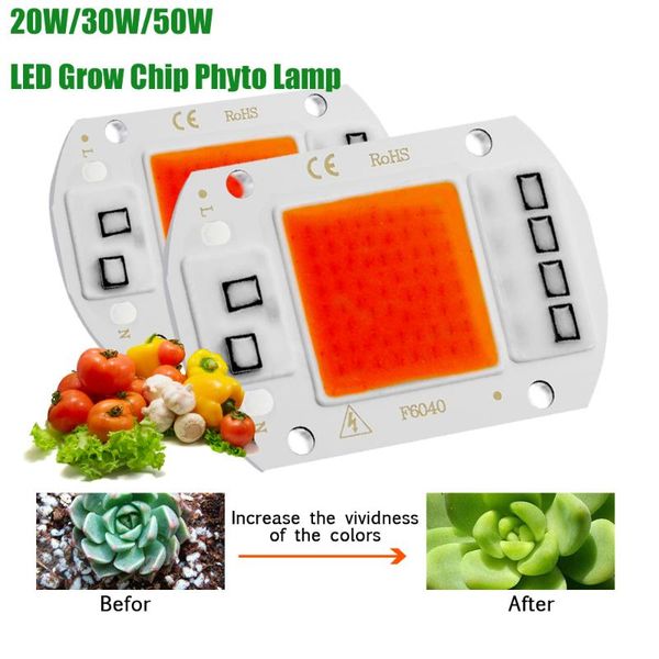 light beads led grow chip phyto lamp full spectrum 220v/110v 20w 30w 50w for indoor plant seedling and flower growth lighting
light beads led grow chip phyto lamp full spectrum 220v/110v 20w 30w 50w for indoor plant seedling and flower growth lighting