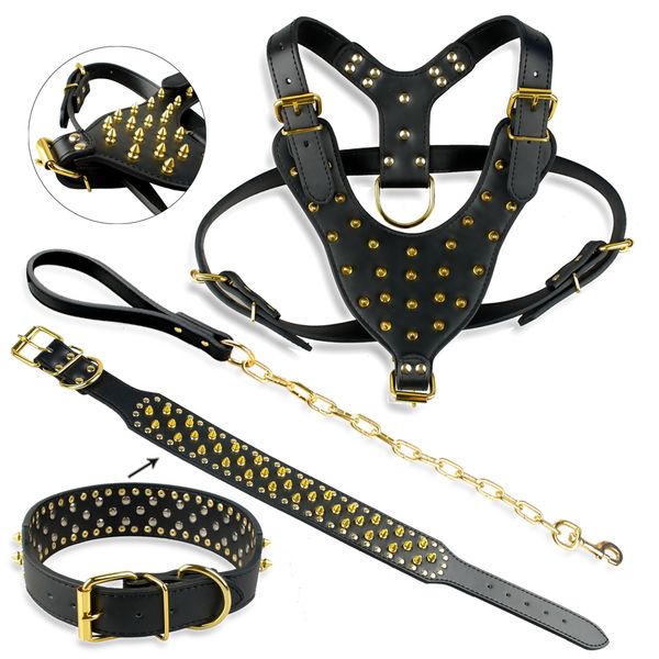 gold spikes studded leather dog pet pitbull harness studded collar chain leash set for large dogs
gold spikes studded leather dog pet pitbull harness studded collar chain leash set for large dogs