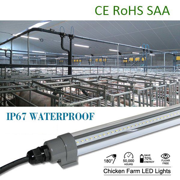 super bright 4ft 5ft 25w 30w water dust vapor proof ip67 car washes t12 led tube lamp easy connection surface mounted/suspended
super bright 4ft 5ft 25w 30w water dust vapor proof ip67 car washes t12 led tube lamp easy connection surface mounted/suspended