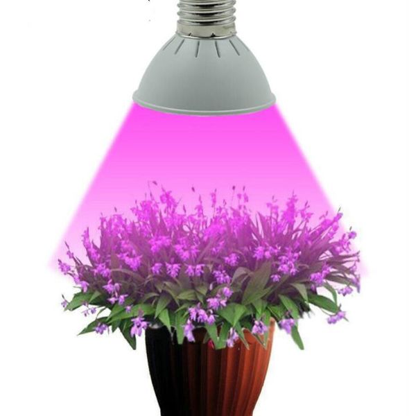 Full Spectrum E27 10W 86Red&20Blue LED Grow Lights Hydroponics Plant Lamp Best For Growing and Flowering------Limited Time Offer
Full Spectrum E27 10W 86Red&20Blue LED Grow Lights Hydroponics Plant Lamp Best For Growing and Flowering------Limited Time Offer