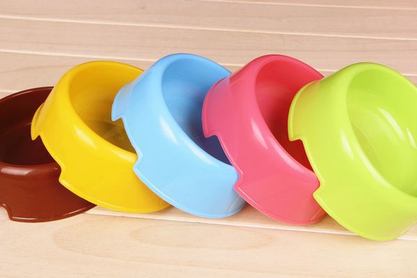 wholesale-dog cats travel feed water pet products multicolor mascots lovely at home good use plastic bowl simple and easy
wholesale-dog cats travel feed water pet products multicolor mascots lovely at home good use plastic bowl simple and easy