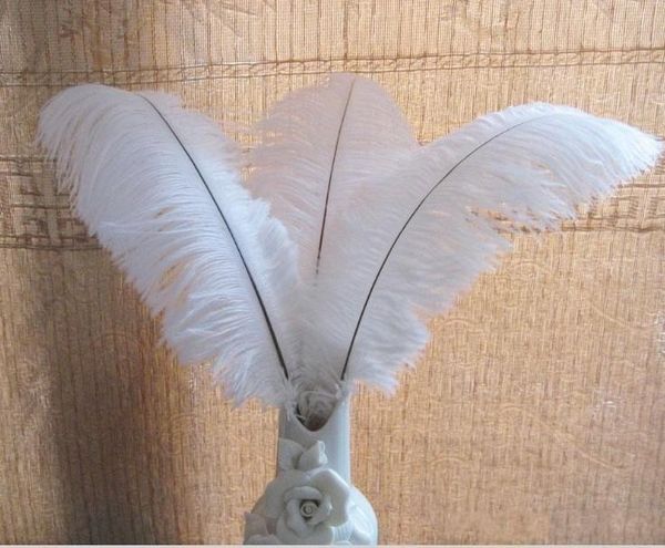 ostrich feathers plume centerpiece for wedding party table decoration natural white ostrich feathers (many sizes for you to choose)
ostrich feathers plume centerpiece for wedding party table decoration natural white ostrich feathers (many sizes for you to choose)
