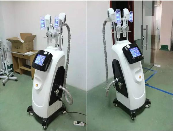 2020 2019 cryolipolysis machine double cryolipolysis handles multifunction fat e slimming fast shipping
2020 2019 cryolipolysis machine double cryolipolysis handles multifunction fat e slimming fast shipping
