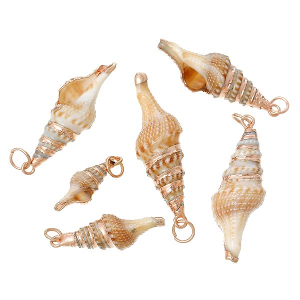 wholesale- doreenbeads shell charm pendants conch natural rose gold plated 4.5cm x1.4cm(1 6/8" x 4/8") - 2.7cm x0.8cm(1 1/8, Black
wholesale- doreenbeads shell charm pendants conch natural rose gold plated 4.5cm x1.4cm(1 6/8" x 4/8") - 2.7cm x0.8cm(1 1/8, Black