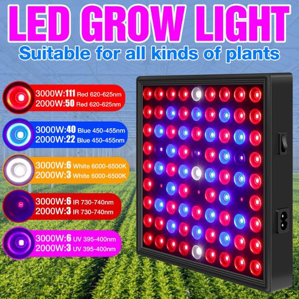 full spectrum led plant grow light bulb 220v hydroponic phyto lamp 2000w 3000w fito lamps for vegs flower seeds growth lighting lights
full spectrum led plant grow light bulb 220v hydroponic phyto lamp 2000w 3000w fito lamps for vegs flower seeds growth lighting lights