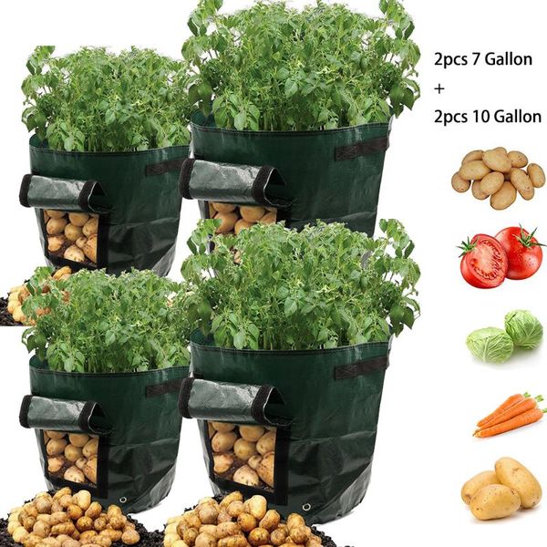 planters & pots 4 x plant grow bag,garden potato bags with flap and handles, vegetable bags,easy to use flower growing bag planting
planters & pots 4 x plant grow bag,garden potato bags with flap and handles, vegetable bags,easy to use flower growing bag planting
